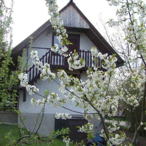 Nefelejcs Apartman Fertohomok Exterior photo